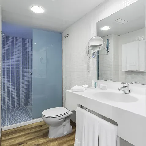Habitación Familiar Confort vista jardín